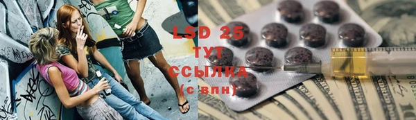 прущие грибы Аркадак