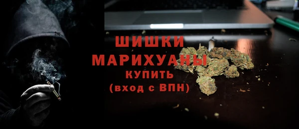 прущие грибы Аркадак