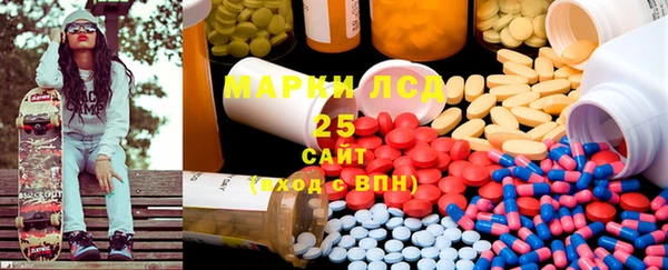 прущие грибы Аркадак