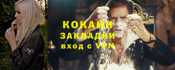 прущие грибы Аркадак
