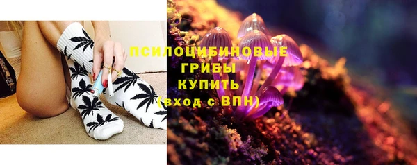 прущие грибы Аркадак